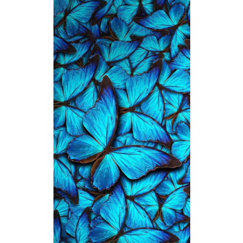 Zappy Case Iphone 14  - W11