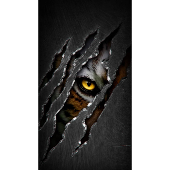 Zappy Case Iphone 14  - W12