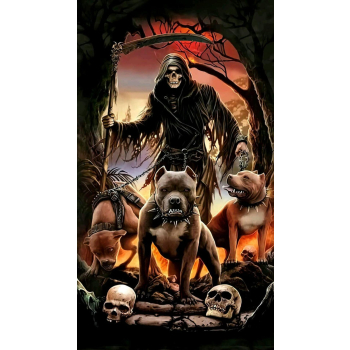Zappy Case Iphone 14  - W13